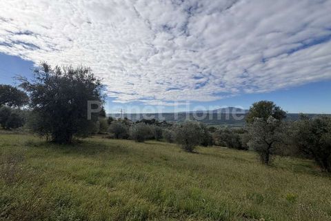 Helårsgrund i Gualdo Cattaneo, Perugia, Gualdo Cattaneo - € 130.000 | Ref: T2-1183550 - foto 9
