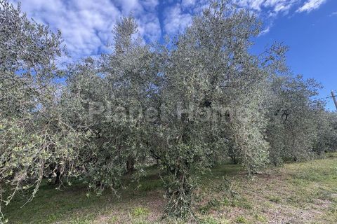 Helårsgrund i Gualdo Cattaneo, Perugia, Gualdo Cattaneo - € 130.000 | Ref: T2-1183550 - foto 10