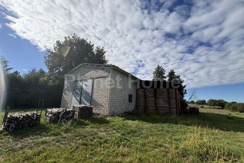 Tomt i Gualdo Cattaneo, Perugia, Gualdo Cattaneo - € 300 000 | Ref: T1-1183562 - foto 8