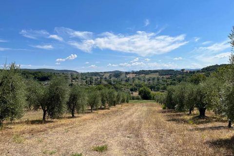 Helårsgrund i Amelia, Terni, Amelia - € 65.000 | Ref: 92-1183571 - foto 2