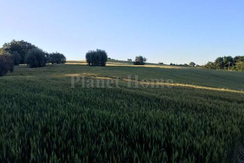 Villa a Amelia, Terni, Amelia - € 750.000 | Ref: 106-1183575 - foto 22