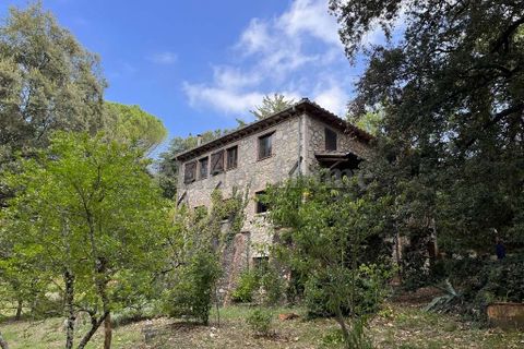 Villa i Amelia, Terni, Amelia - € 280.000 | Ref: 98-1183601 - foto 6