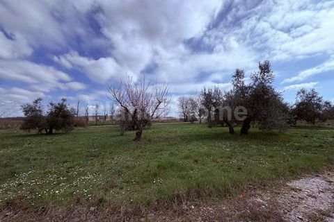 Villa i Gualdo Cattaneo, Perugia, Gualdo Cattaneo - € 160.000 | Ref: 155-1183785 - foto 19