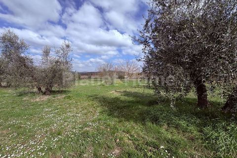 Villa i Gualdo Cattaneo, Perugia, Gualdo Cattaneo - € 160.000 | Ref: 155-1183785 - foto 21