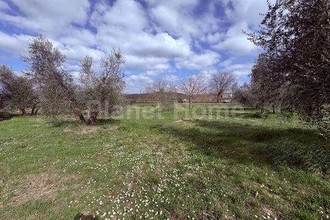 Villa i Gualdo Cattaneo, Perugia, Gualdo Cattaneo - € 160.000 | Ref: 155-1183785 - foto 22