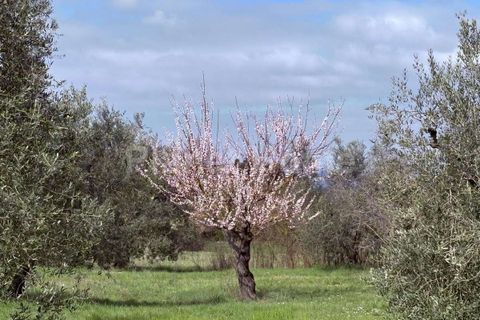 Villa i Gualdo Cattaneo, Perugia, Gualdo Cattaneo - € 160.000 | Ref: 155-1183785 - foto 25