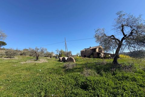 Villa i Gualdo Cattaneo, Perugia, Gualdo Cattaneo - € 115.000 | Ref: 199-1183896 - foto 4
