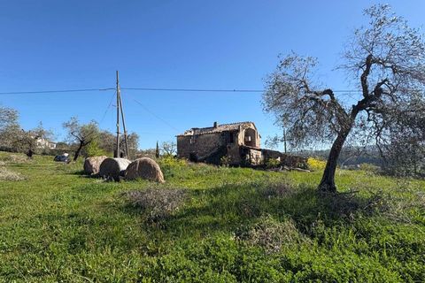 Villa i Gualdo Cattaneo, Perugia, Gualdo Cattaneo - € 115.000 | Ref: 199-1183896 - foto 5