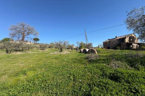 Villa i Gualdo Cattaneo, Perugia, Gualdo Cattaneo - € 115.000 | Ref: 199-1183896 - foto 6