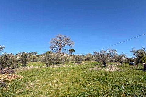 Villa i Gualdo Cattaneo, Perugia, Gualdo Cattaneo - € 115.000 | Ref: 199-1183896 - foto 7