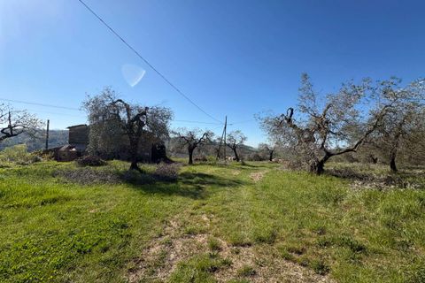 Villa i Gualdo Cattaneo, Perugia, Gualdo Cattaneo - € 115.000 | Ref: 199-1183896 - foto 13