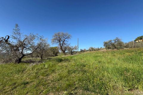 Villa i Gualdo Cattaneo, Perugia, Gualdo Cattaneo - € 115.000 | Ref: 199-1183896 - foto 14