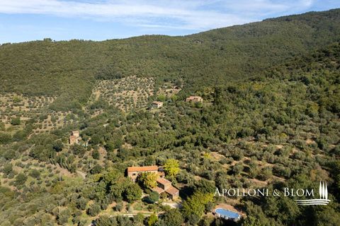 Villa i Cortona, Arezzo, Cortona - € 620.000 | Ref: COR3521-1202735 - foto 6