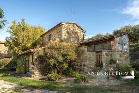 Villa i Cortona, Arezzo, Cortona - € 620.000 | Ref: COR3521-1202735 - foto 25