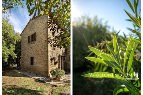 Villa i Cortona, Arezzo, Cortona - € 620.000 | Ref: COR3521-1202735 - foto 26