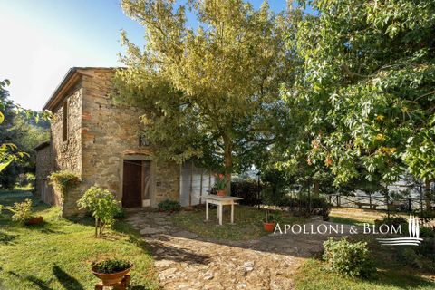 Villa i Cortona, Arezzo, Cortona - € 620.000 | Ref: COR3521-1202735 - foto 28