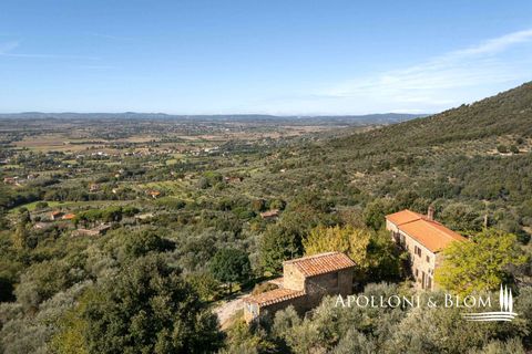 Villa i Cortona, Arezzo, Cortona - € 620.000 | Ref: COR3521-1202735 - foto 30