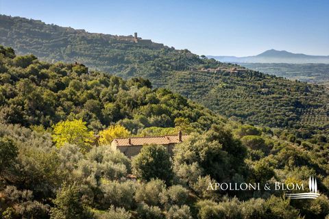 Villa i Cortona, Arezzo, Cortona - € 620.000 | Ref: COR3521-1202735 - foto 31