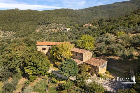 Villa i Cortona, Arezzo, Cortona - € 620.000 | Ref: COR3521-1202735 - foto 32