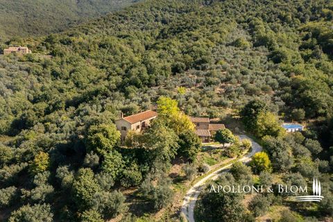 Villa i Cortona, Arezzo, Cortona - € 620.000 | Ref: COR3521-1202735 - foto 33