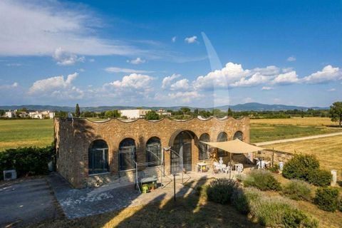 Villa a Monteriggioni, Siena, Monteriggioni - € 2.350.000 | Ref: A1190RV20180-1235806 - foto 14