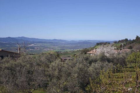 Villa a Volterra, Pisa, Volterra - € 310.000 | Ref: A-326-1251425 - foto 12