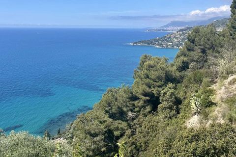 Villa a Ventimiglia, Imperia, Ventimiglia - € 1.700.000 | Ref: f236-1290621 - foto 5