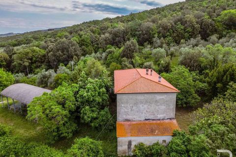 Farm hus i Santa Luce, Pisa, Santa Luce - € 540.000 | Ref: R07188SARU-1315769 - foto 2