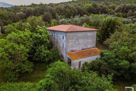 Farm hus i Santa Luce, Pisa, Santa Luce - € 540.000 | Ref: R07188SARU-1315769 - foto 3