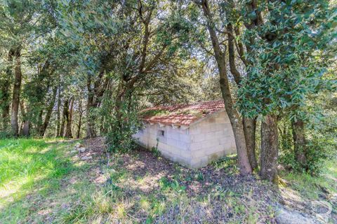 Villa i Pomarance, Pisa, Pomarance - € 220.000 | Ref: R07139POVI-1317268 - foto 17