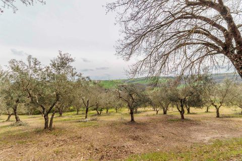 Landejendom i Asciano, Siena, Asciano - € 3.700.000 | Ref: R07137ASAG-1317293 - foto 27