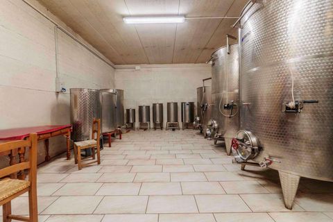 Landejendom i Asciano, Siena, Asciano - € 3.700.000 | Ref: R07137ASAG-1317293 - foto 44