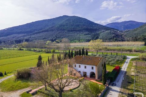Villa a Vicopisano, Pisa, Vicopisano - € 930.000 | Ref: R06247VIVI-1317517 - foto 2