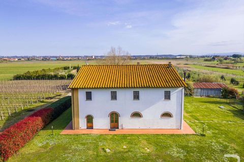 Villa a Vicopisano, Pisa, Vicopisano - € 930.000 | Ref: R06247VIVI-1317517 - foto 5
