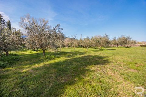 Villa a Vicopisano, Pisa, Vicopisano - € 930.000 | Ref: R06247VIVI-1317517 - foto 24