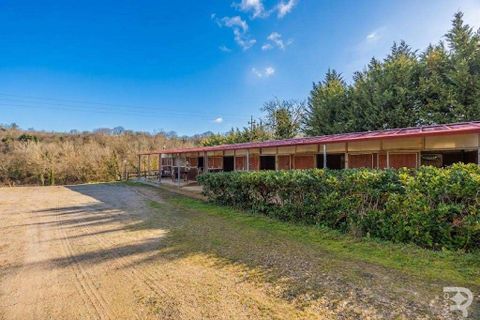 Gårdshus i Terranuova Bracciolini, Arezzo, Terranuova Bracciolini - € 750 000 | Ref: R07021TERU-1317688 - foto 13