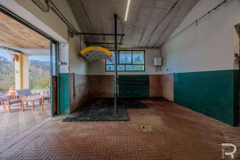 Gårdshus i Terranuova Bracciolini, Arezzo, Terranuova Bracciolini - € 750 000 | Ref: R07021TERU-1317688 - foto 44