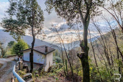 Villa i Massa, Massa and Carrara, Massa - € 175 000 | Ref: R07114MAVI-1318191 - foto 4