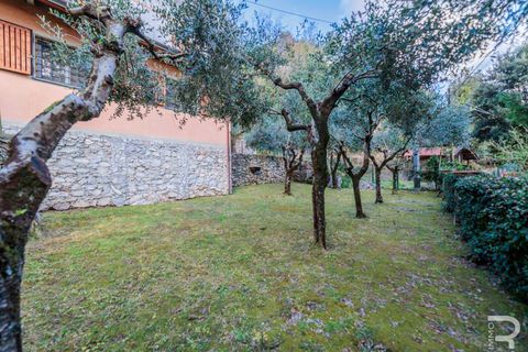 Villa i Massa, Massa and Carrara, Massa - € 175 000 | Ref: R07114MAVI-1318191 - foto 12