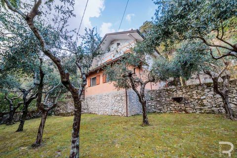 Villa i Massa, Massa and Carrara, Massa - € 175 000 | Ref: R07114MAVI-1318191 - foto 13