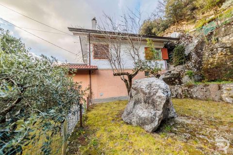 Villa i Massa, Massa and Carrara, Massa - € 175 000 | Ref: R07114MAVI-1318191 - foto 14