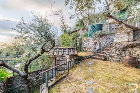 Villa i Massa, Massa and Carrara, Massa - € 175 000 | Ref: R07114MAVI-1318191 - foto 21