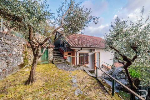 Villa i Massa, Massa and Carrara, Massa - € 175 000 | Ref: R07114MAVI-1318191 - foto 22