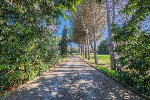 Villa i Jesolo, Venice, Jesolo - € 1.300.000 | Ref: R07047JEVI-1318430 - foto 22