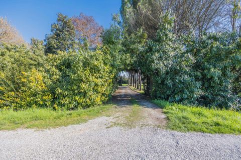 Villa i Jesolo, Venice, Jesolo - € 1.300.000 | Ref: R07047JEVI-1318430 - foto 23