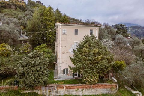 Villa i Carrara, Massa and Carrara, Carrara - € 300.000 | Ref: R07072CAVI-1319112 - foto 3