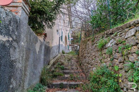 Villa i Carrara, Massa and Carrara, Carrara - € 300.000 | Ref: R07072CAVI-1319112 - foto 4