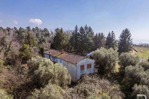 Farm hus i Buggiano, Pistoia, Buggiano - € 240.000 | Ref: R07069BURU-1319167 - foto 4