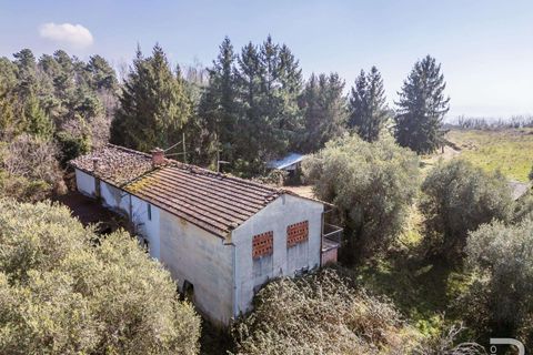 Farm hus i Buggiano, Pistoia, Buggiano - € 240.000 | Ref: R07069BURU-1319167 - foto 5