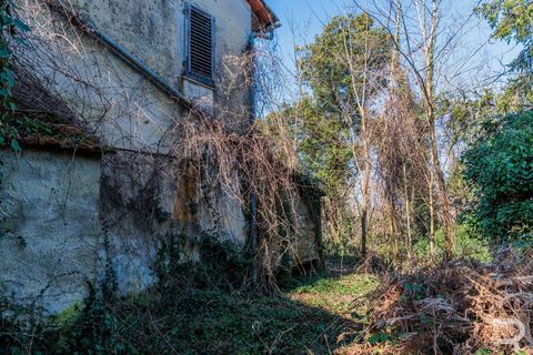 Farm hus i Buggiano, Pistoia, Buggiano - € 240.000 | Ref: R07069BURU-1319167 - foto 14